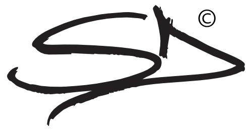 Steven Doyle Site logo